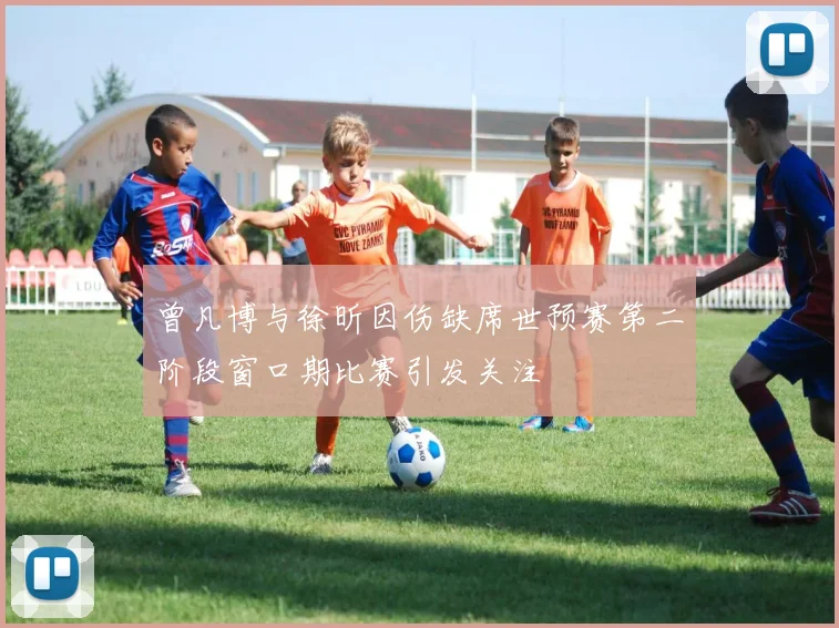 曾凡博与徐昕因伤缺席世预赛第二阶段窗口期比赛引发关注