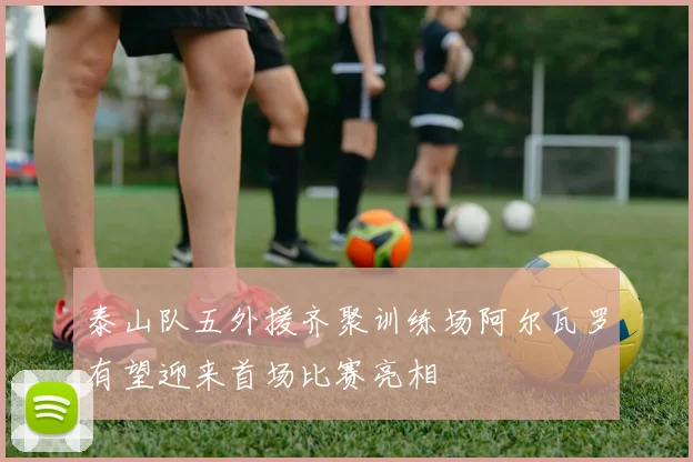 泰山队五外援齐聚训练场阿尔瓦罗有望迎来首场比赛亮相