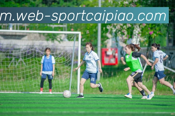 大发彩票平台生态图