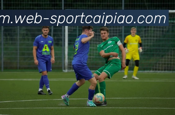 大发彩票全站App